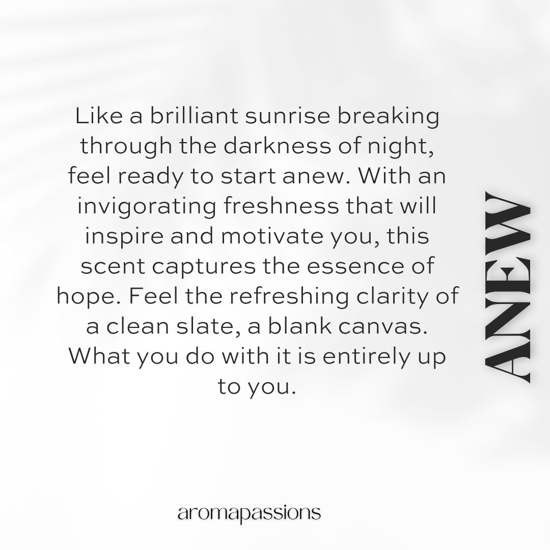 ANEW | Inspired by PRADA LUNA ROSSA OCEAN | Luna Rossa Ocean Dupe Pheromone Perfume