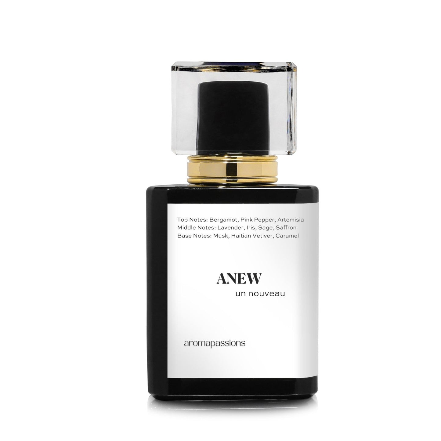 ANEW | Inspired by PRADA LUNA ROSSA OCEAN | Luna Rossa Ocean Dupe Pheromone Perfume