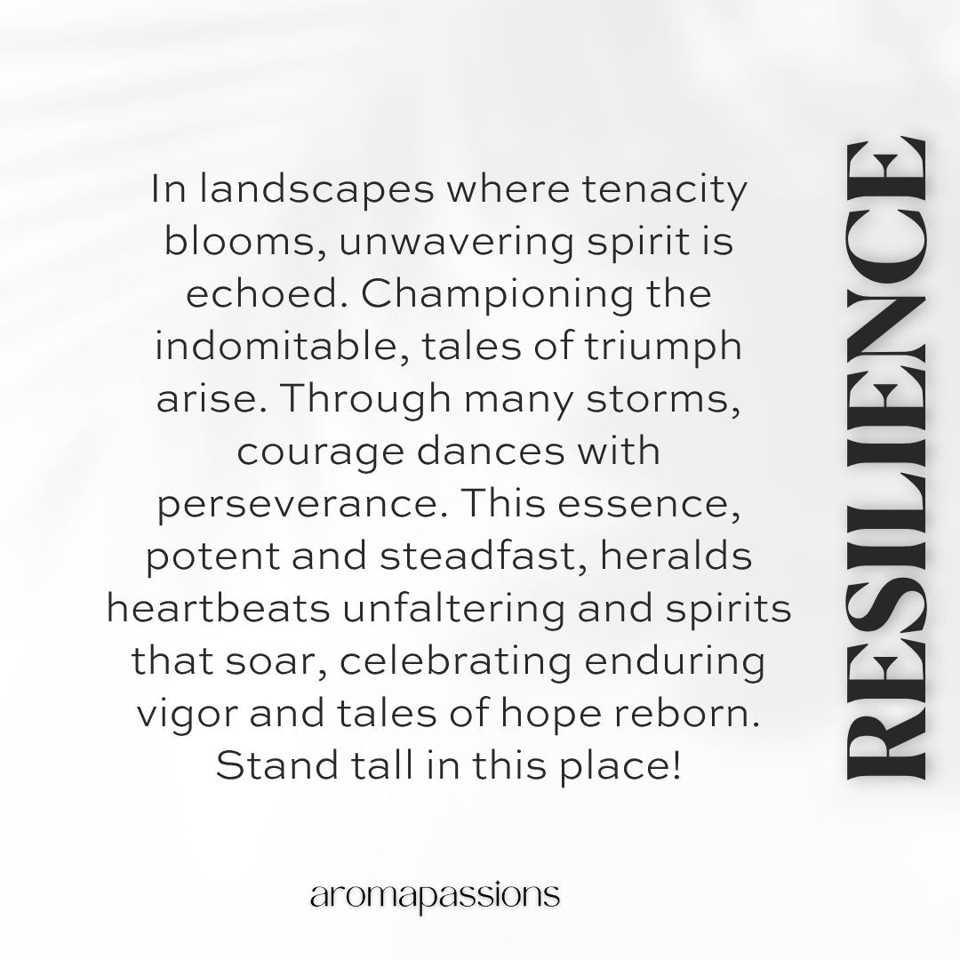 RESILIENCE | Inspired by JEAN PAUL GAULTIER LE MALE | Le Male Dupe Pheromone Perfume