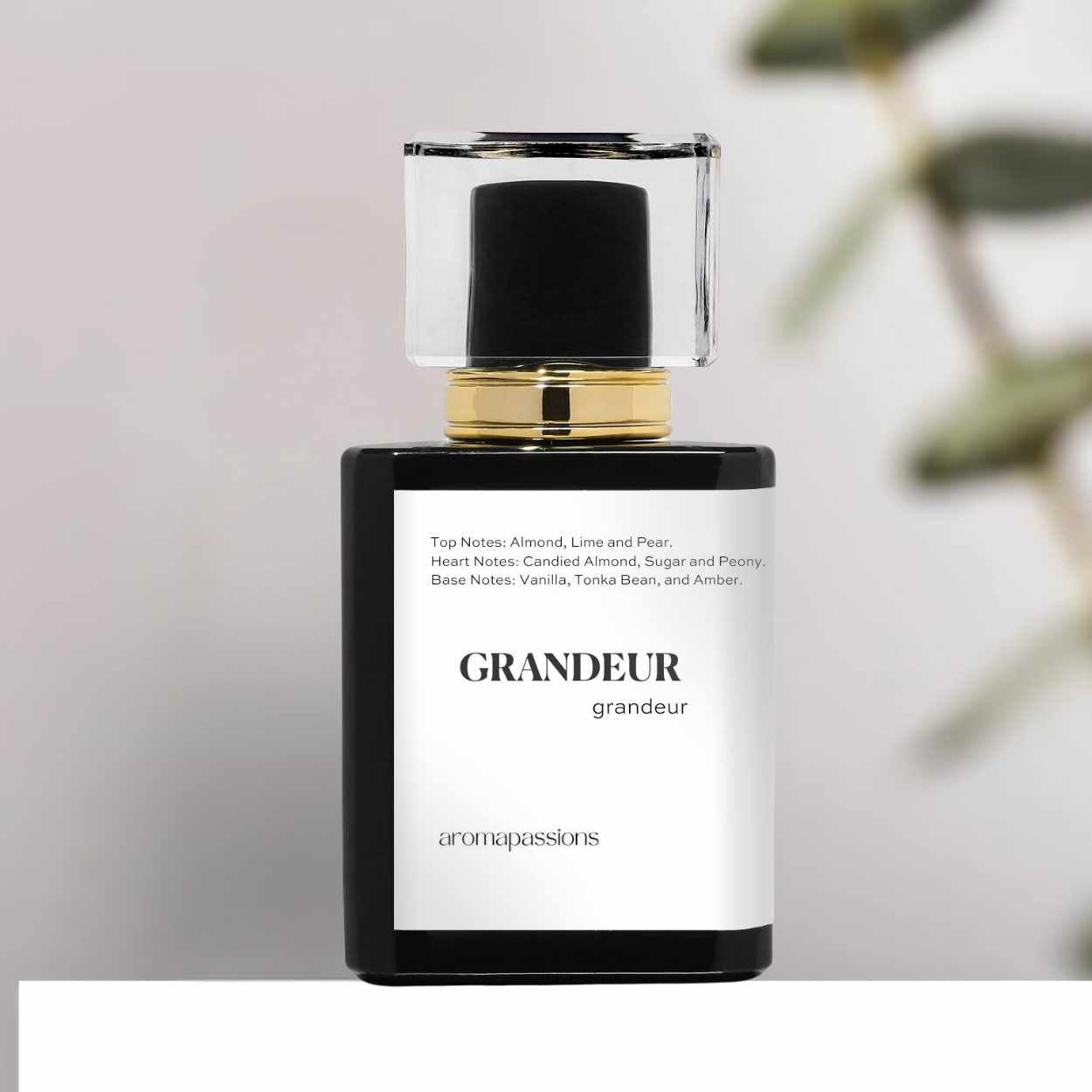 GRANDEUR | Inspired by BURBERRY BRIT | Brit Dupe Pheromone Perfume - aromapassions