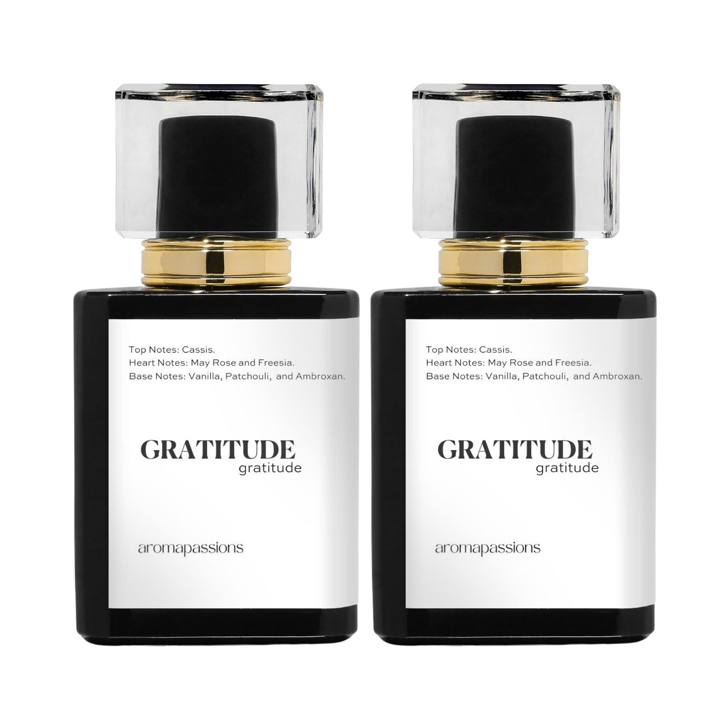 GRATITUDE | Inspired by GIORGIO ARMANI SÌ | Sì Dupe Pheromone Perfume - aromapassions