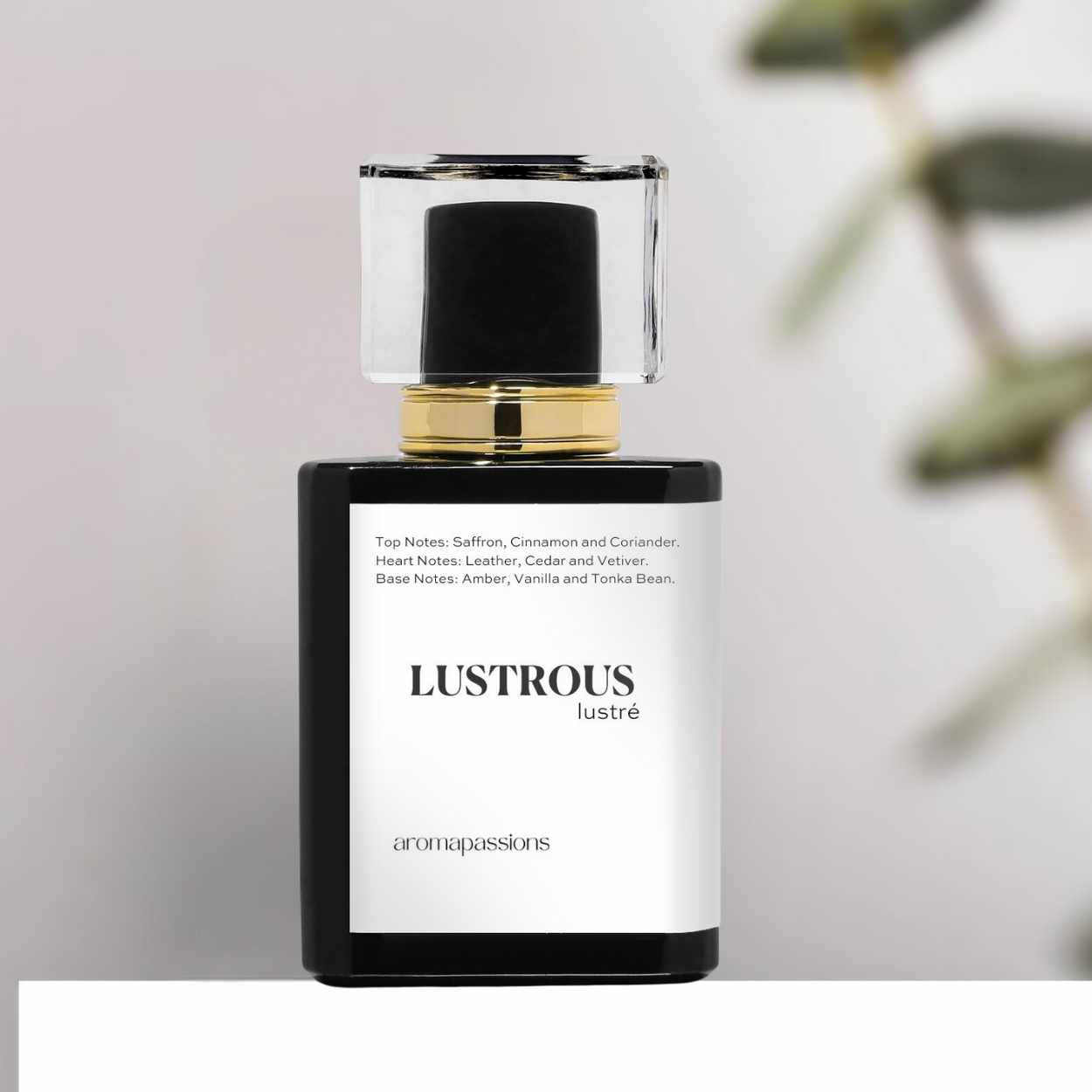 LUSTROUS | Inspired by ISSEY MIYAKE L'EAU D'ISSEY POUR HOMME NOIR AMBRE | L'Eau D'Issey Pour Homme Dupe Pheromone Men Perfume | Nutmeg Coriander Cedar Papyrus Vetiver Amber Vanilla Tonka Bean Essential Oils - aromapassions