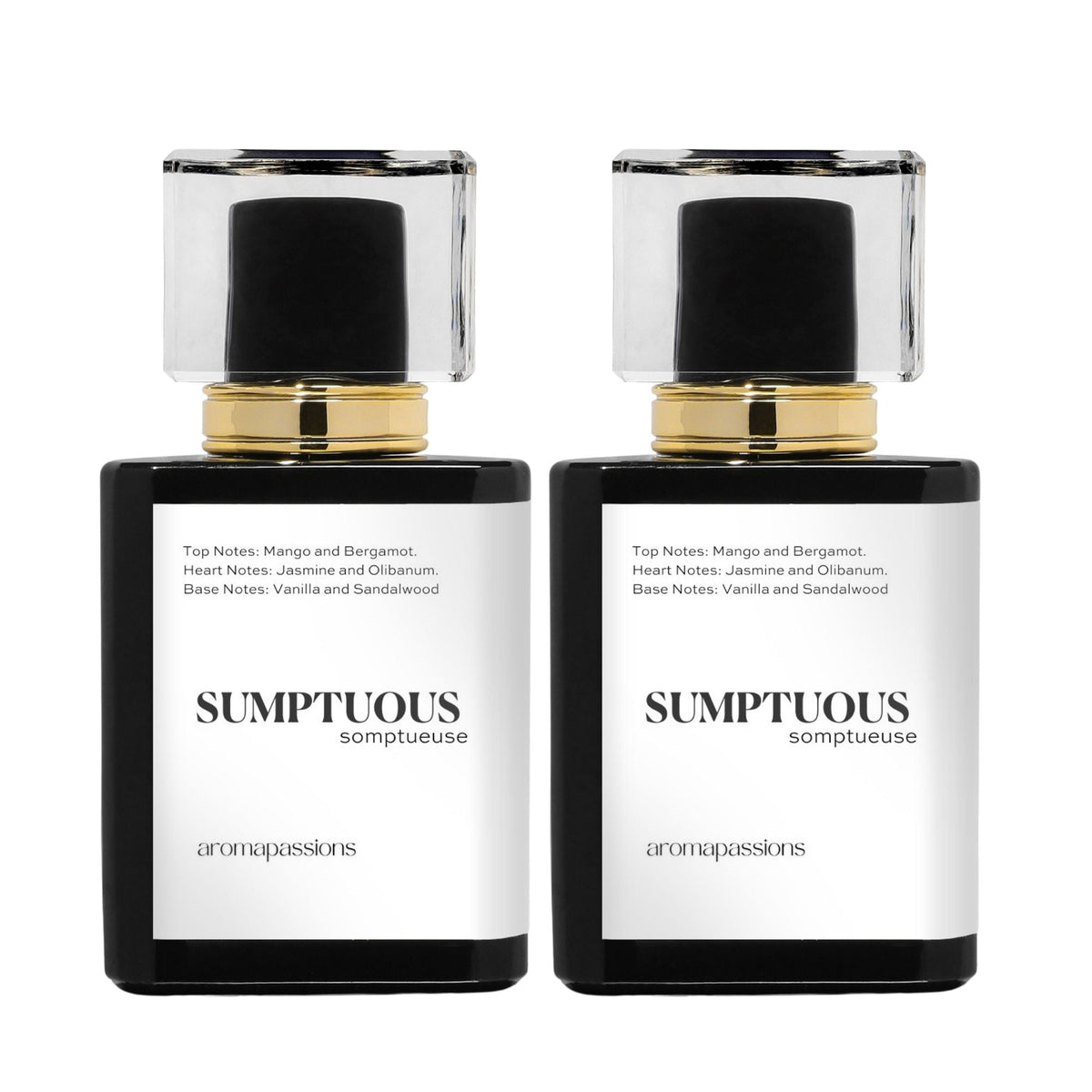 SUMPTUOUS | Inspired by PACO RABANNE FAME | Fame Dupe Pheromone Perfume - aromapassions