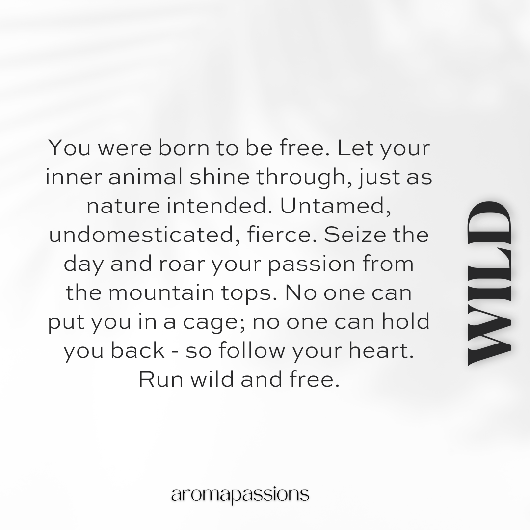 Sauvage wild at heart dior hot sale