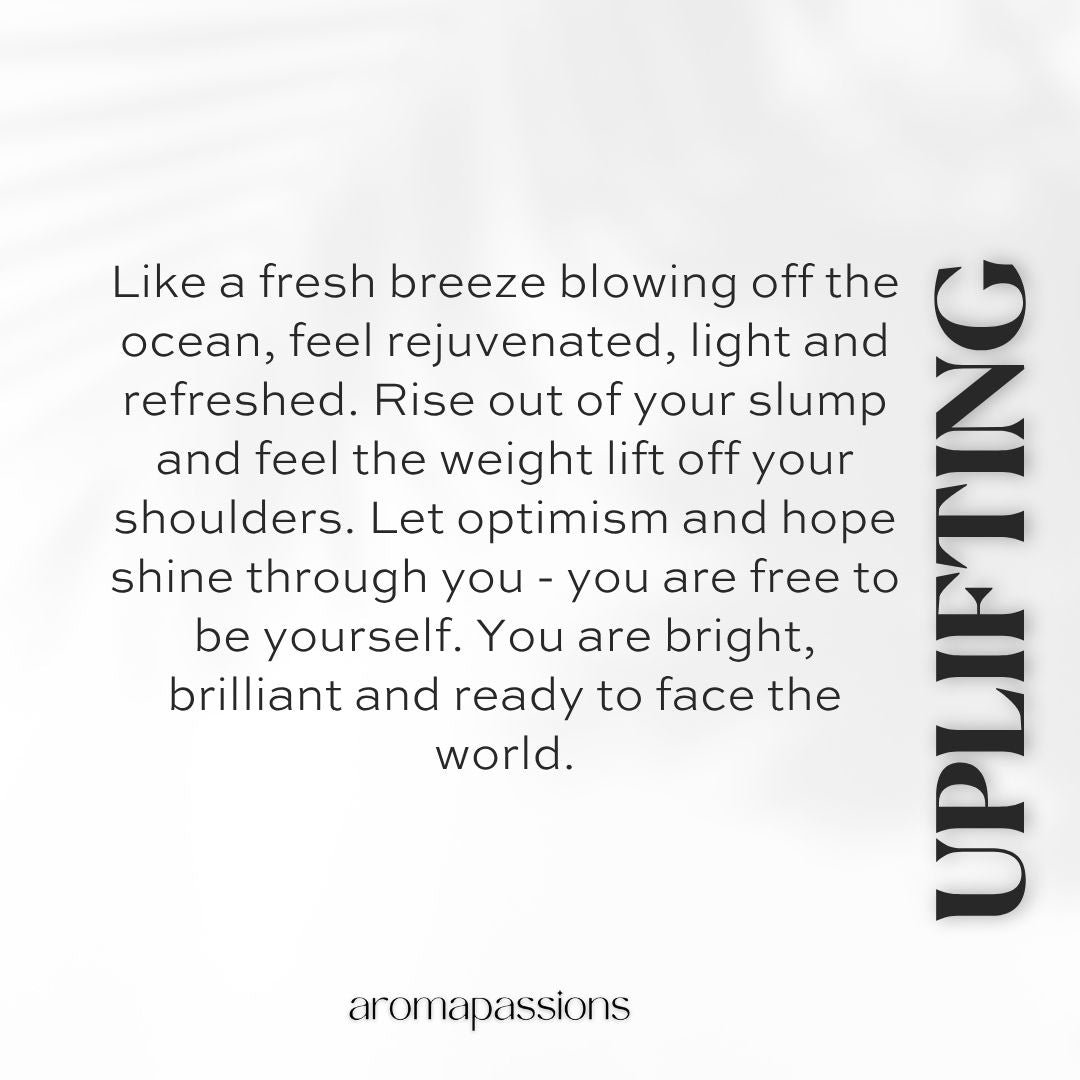 UPLIFTING | Inspired by DG LIGHT BLUE | Light Blue Dupe Pheromone Perfume