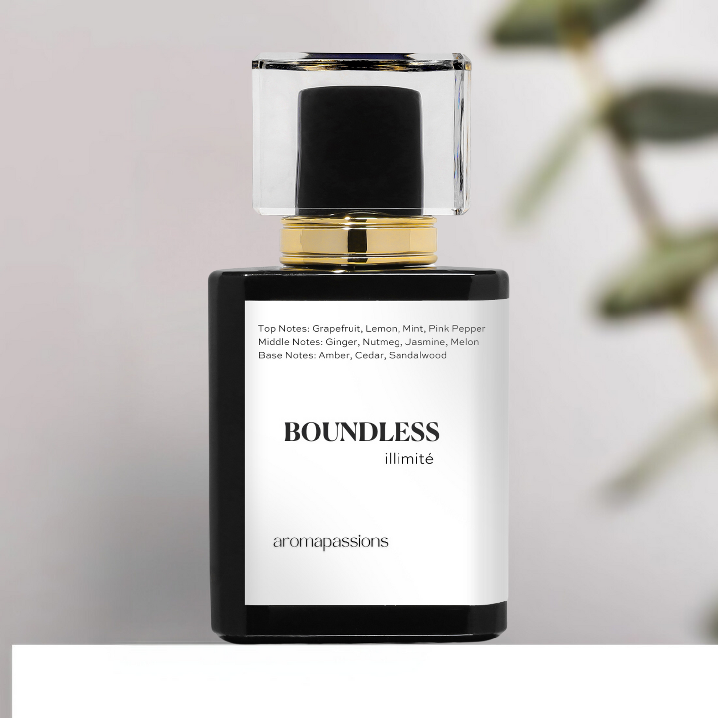 BOUNDLESS | Inspired by CHNL BLEU DE CHANEL EDP | Pheromone Perfume Dupes