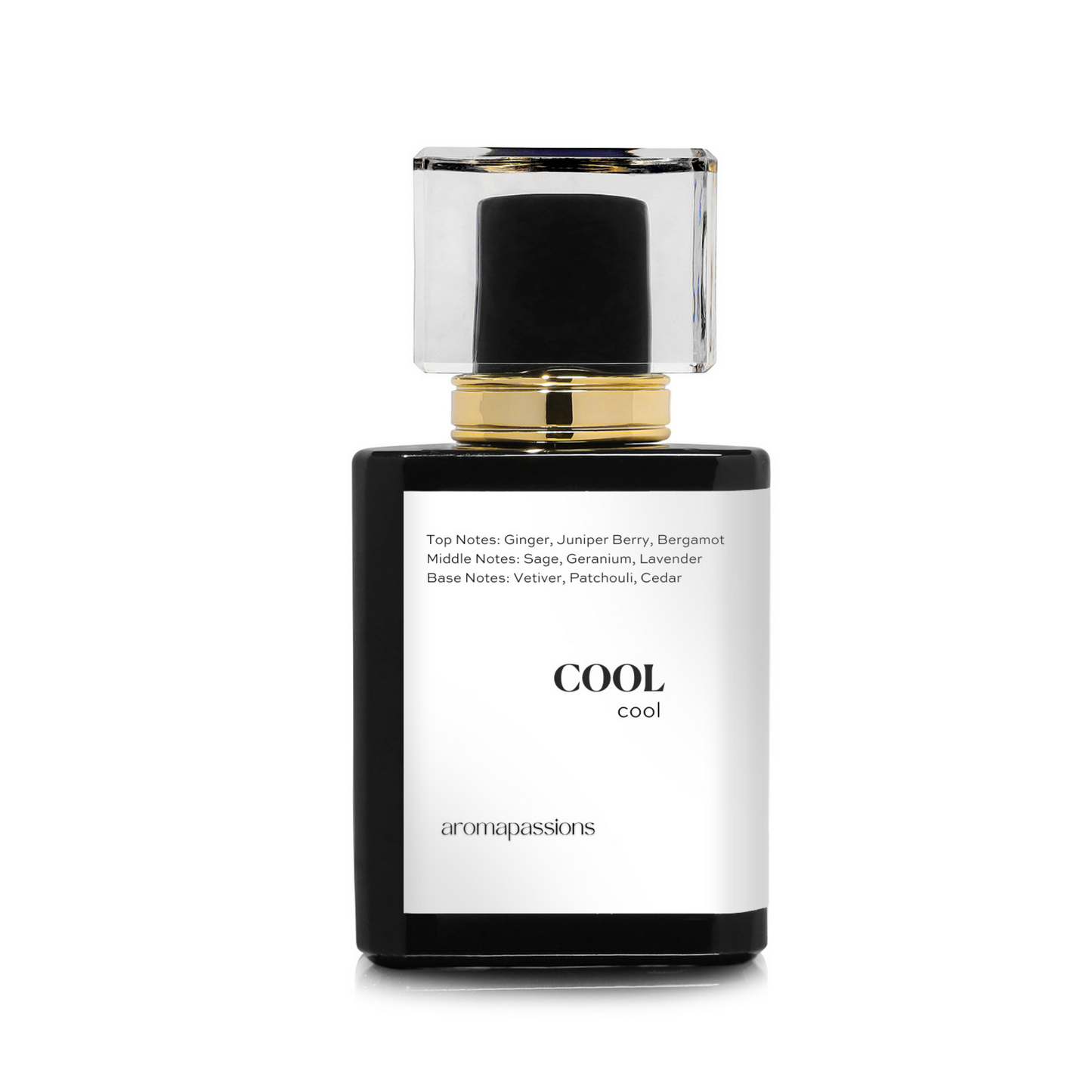 COOL | Inspired by YVS SNT LRNT YSL Y EDP | Pheromone Perfume Dupes