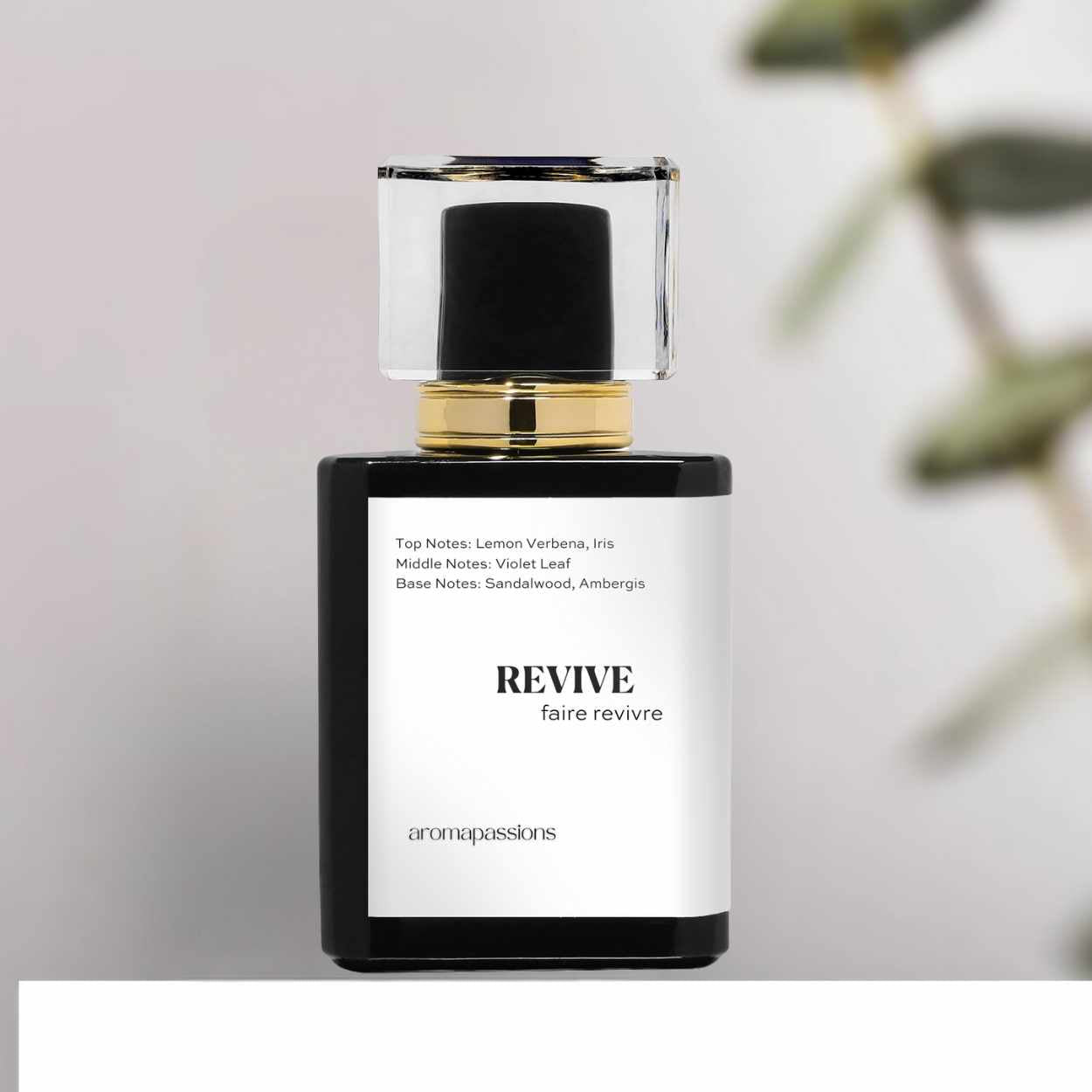 REVIVE | Inspired by CREED GREEN IRISH TWEED | Green Irish Tweed Dupe Pheromone Perfume