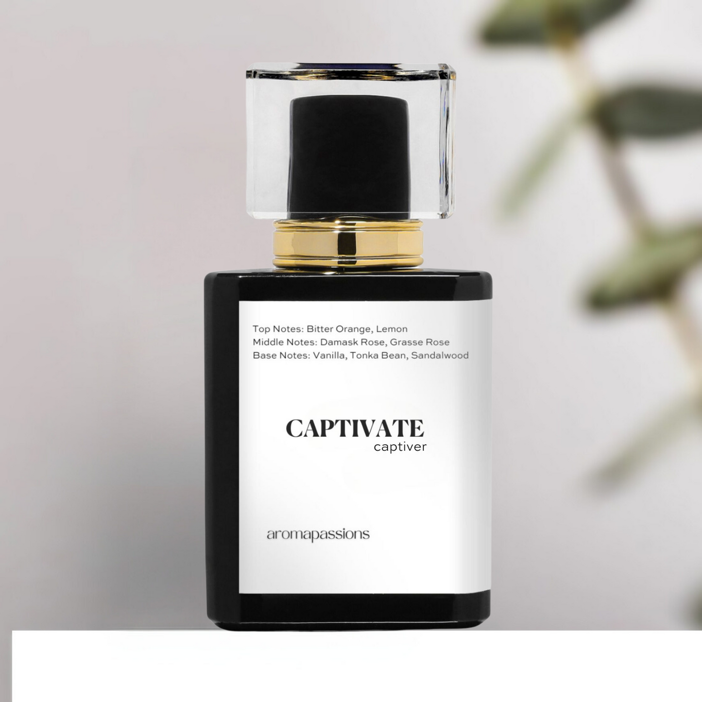 CAPTIVATE | Inspired by D. POISON | Poison Dupe Pheromone Perfume
