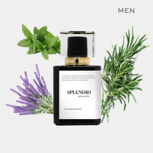 SPLENDID | Inspired by TOM FORD BEAU DE JOUR | Beau De Jour Dupe Pheromone Perfume