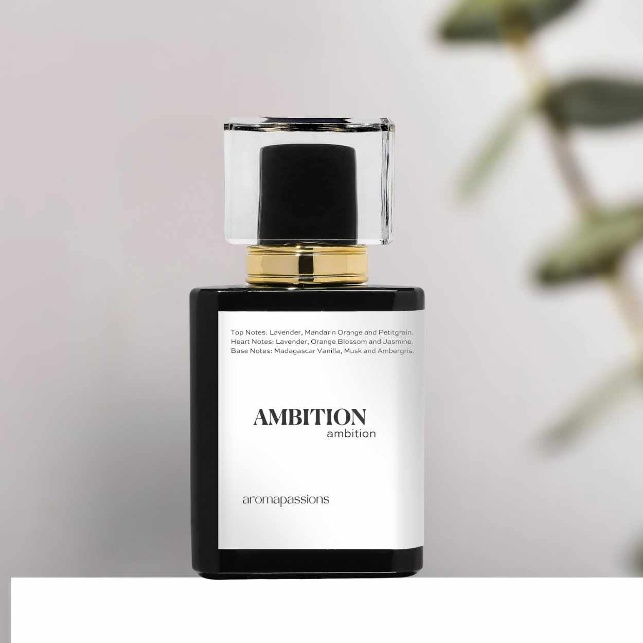 AMBITION | Inspired by YSL LIBRE | Lavender Mandarin Orange Black Currant Lavender Jasmine Vanilla Cedar Essential Oils | Libre Dupe Pheromone Perfume
