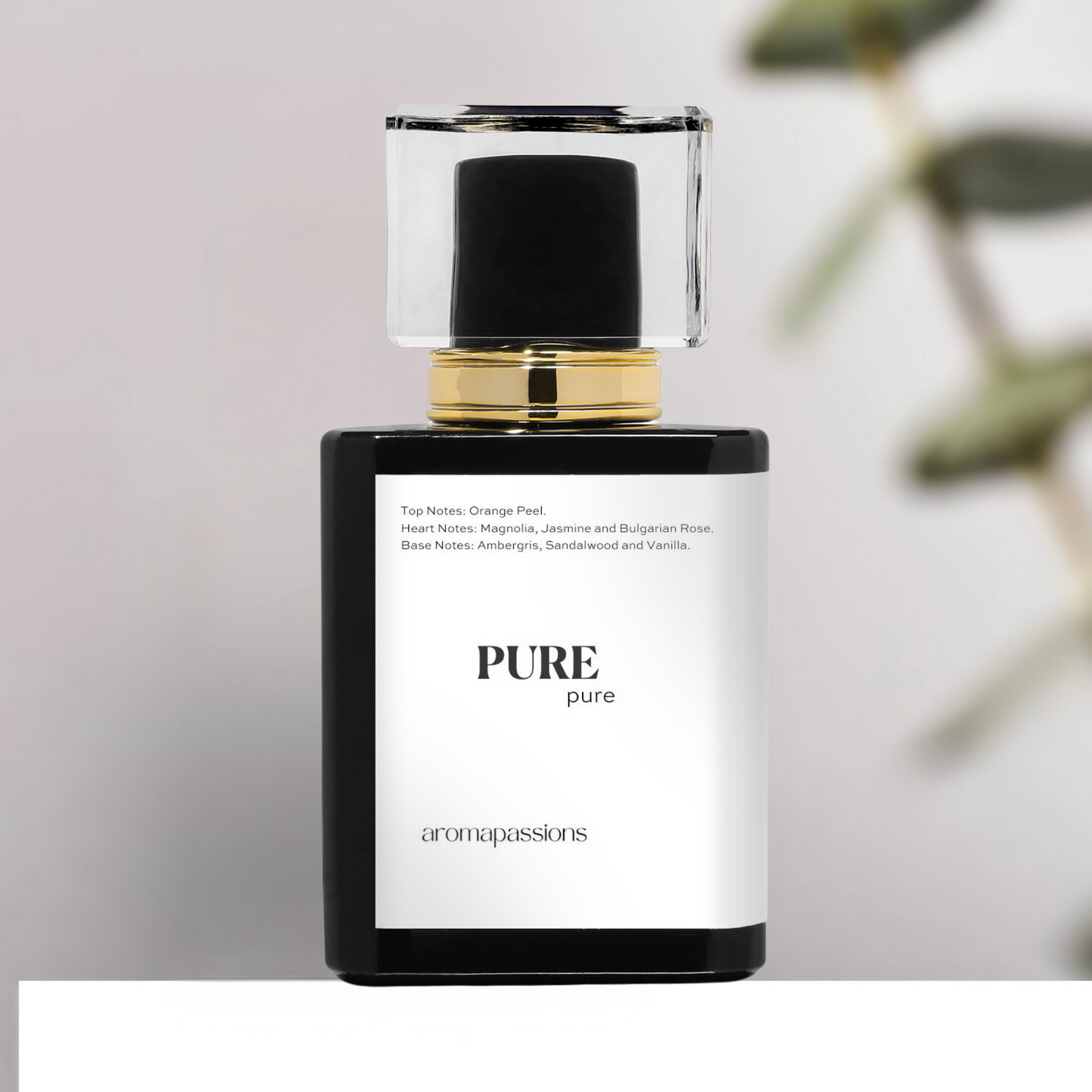 PURE | Inspired by CREED LOVE IN WHITE | Love in White Dupe Pheromone Perfume