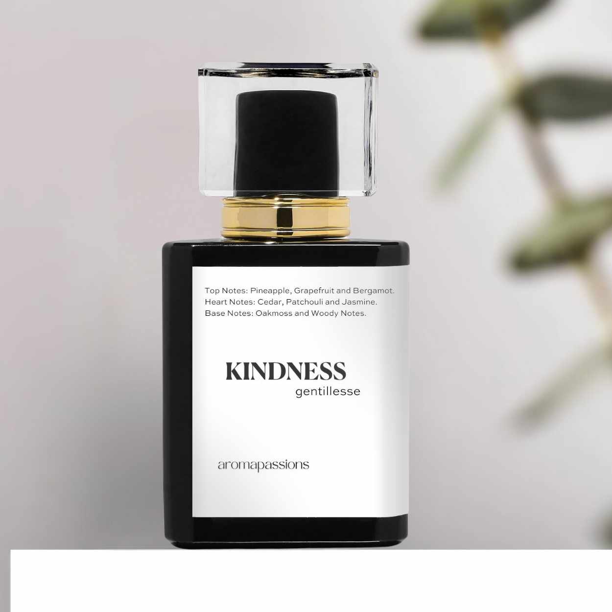 KINDNESS | Inspired by NISHANE HACIVAT | Bergamot Cedar Patchouli Jasmine Essential Oils | Hacivat Dupe Pheromone Perfume