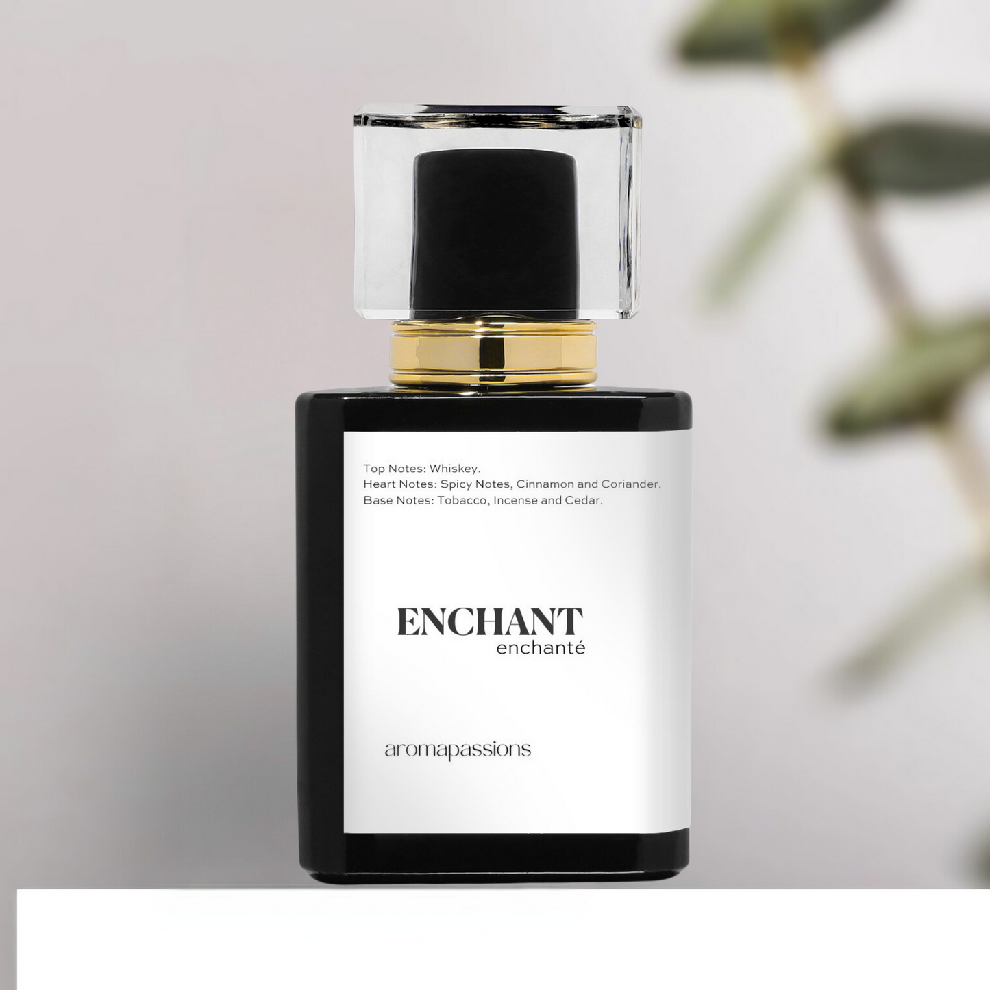 ENCHANT | Inspired by Tom Ford TOBACCO OUD | Tobacco Oud Dupe Pheromone Perfume