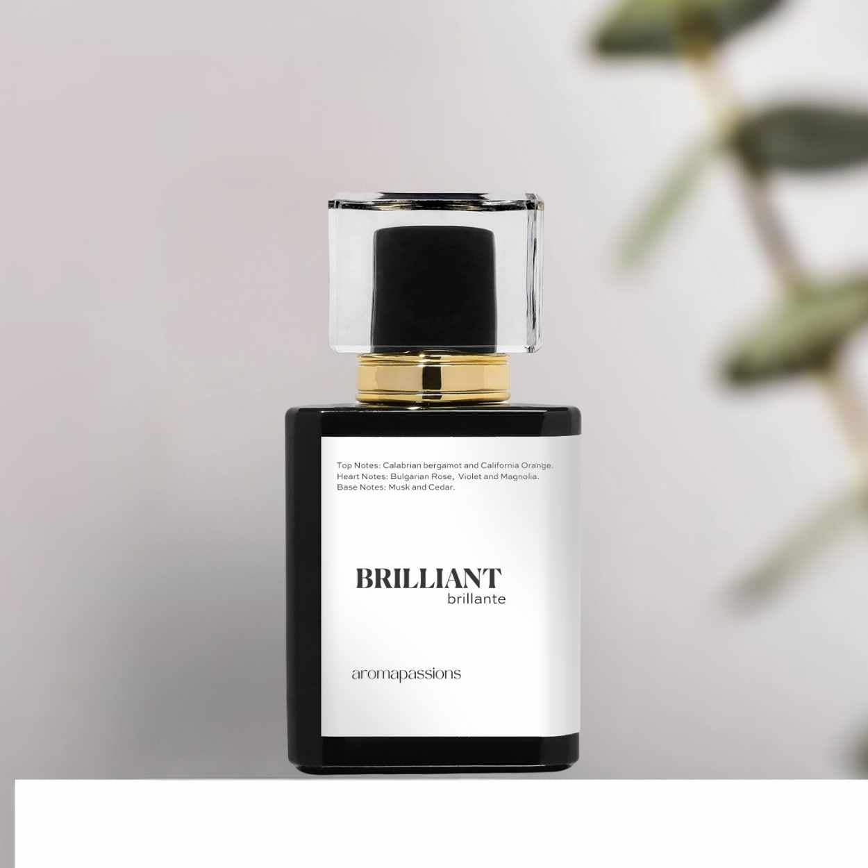 BRILLIANT | Inspired by MFK A LA ROSE | Bergamot Orange Rose Violet Magnolia Cedar Essential Oils | Maison Francis Kurkdjian A La Rose Dupe Pheromone Perfume
