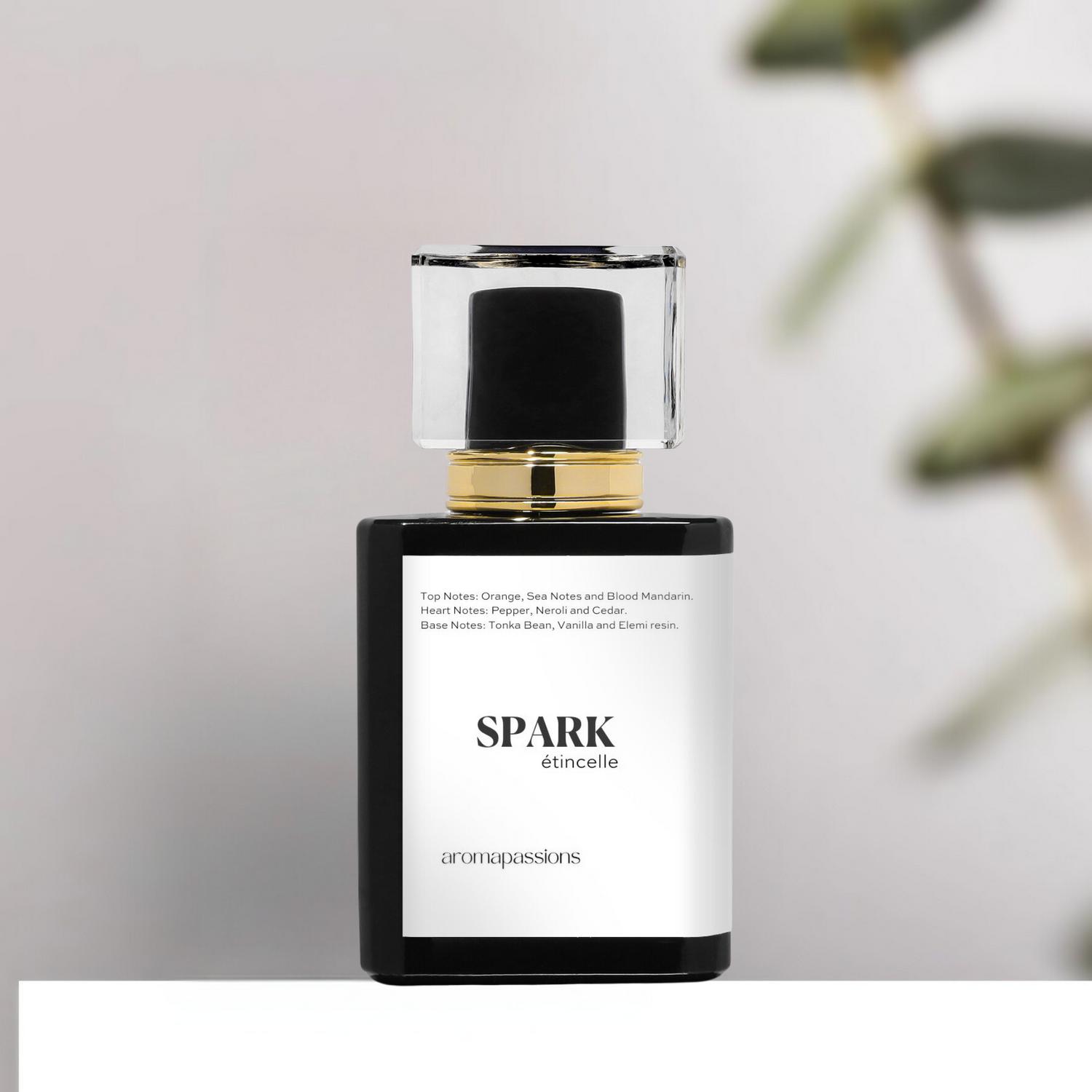 Perfume Shop Online
