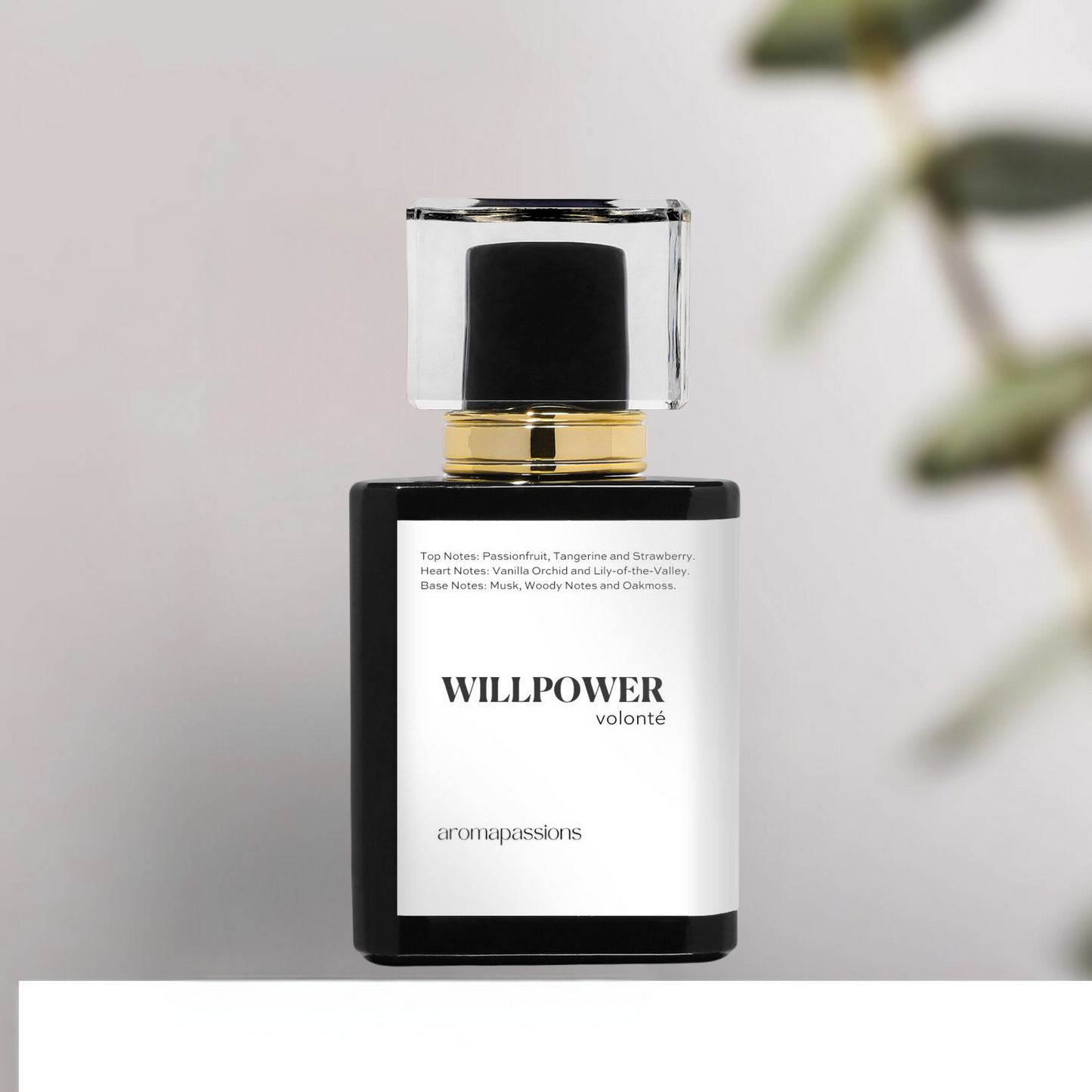 WILLPOWER | Inspired by VICTORIA SECRET BOMBSHELL | Bombshell Dupe Pheromone Perfume