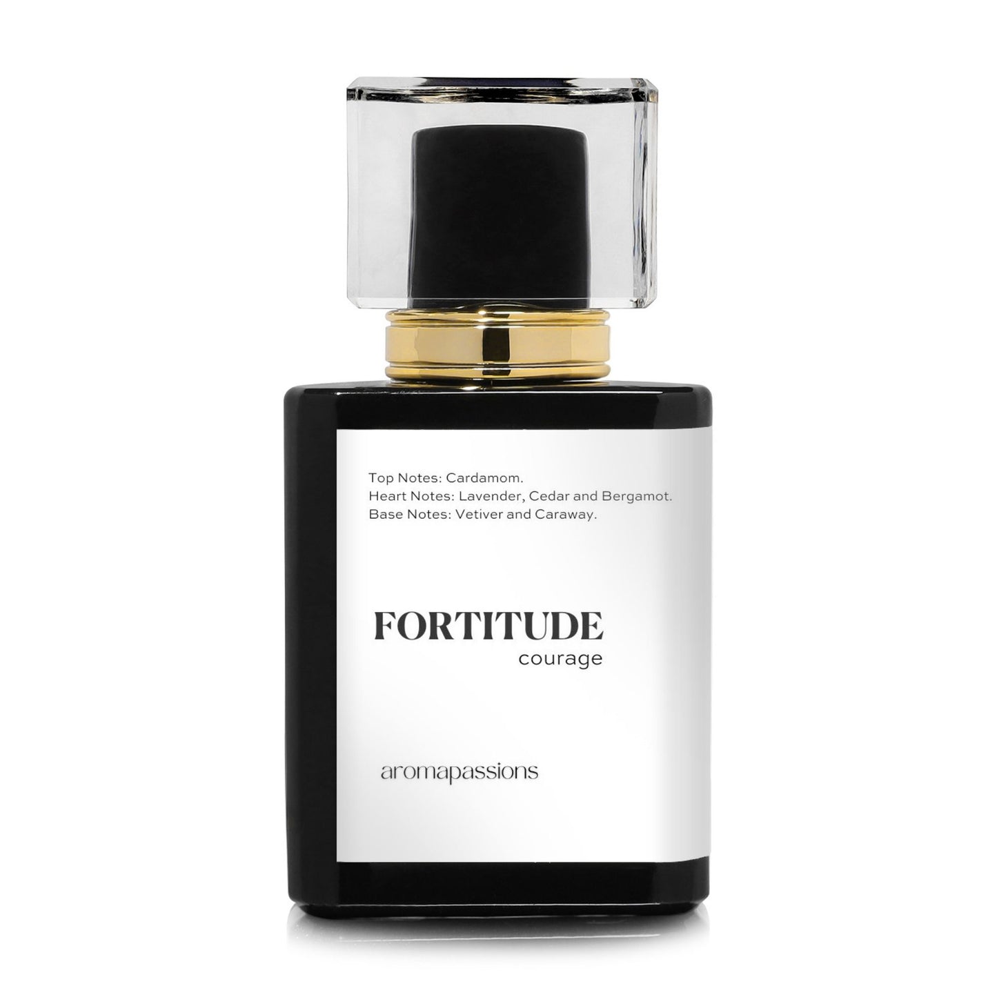 FORTITUDE | Inspired by YSL LA NUIT DE L'HOMME | La Nuit De L'Homme Dupe Pheromone Perfume