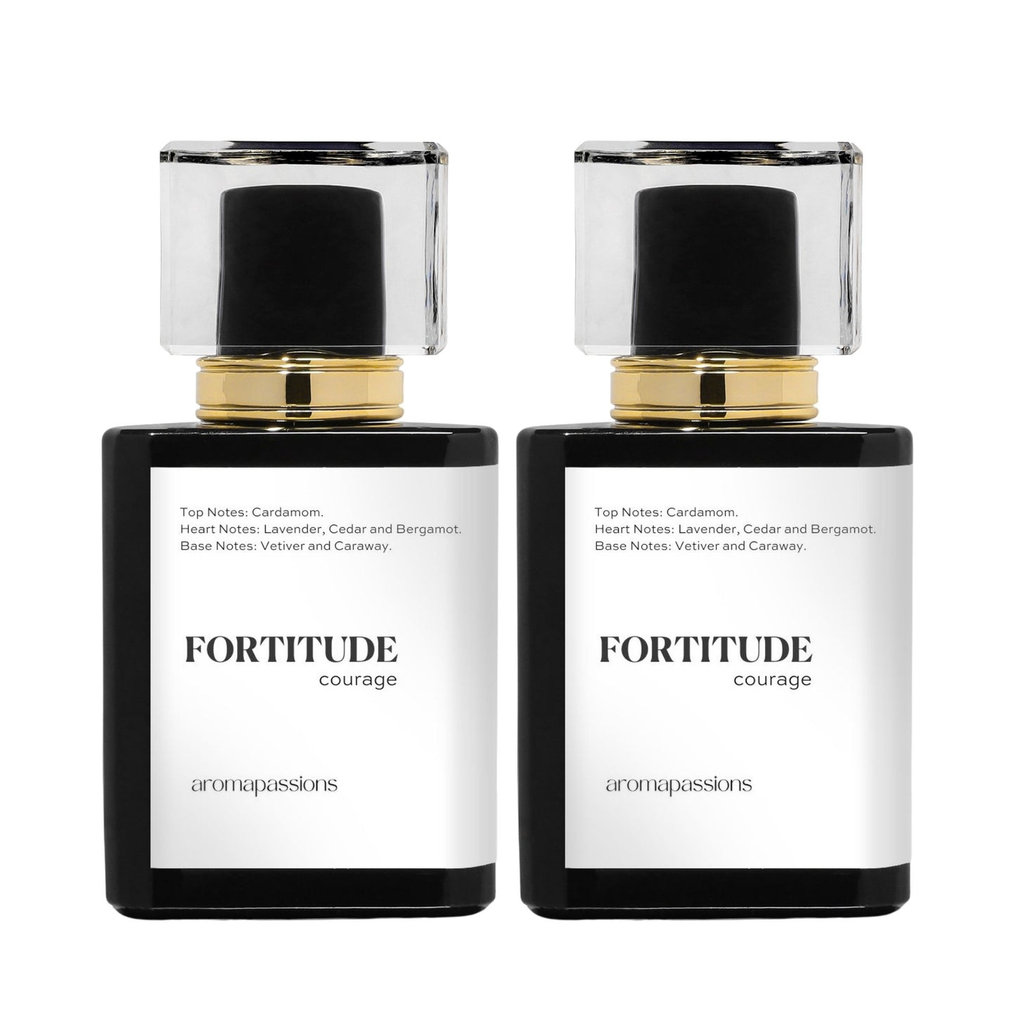 FORTITUDE | Inspired by YSL LA NUIT DE L'HOMME | La Nuit De L'Homme Dupe Pheromone Perfume