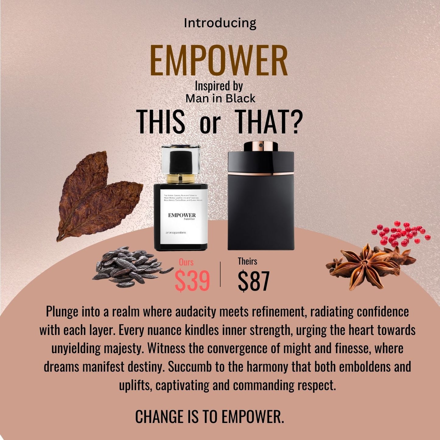 EMPOWER | Inspired by BVLGARI MAN IN BLACK | Man in Black Dupe Pheromone Perfume