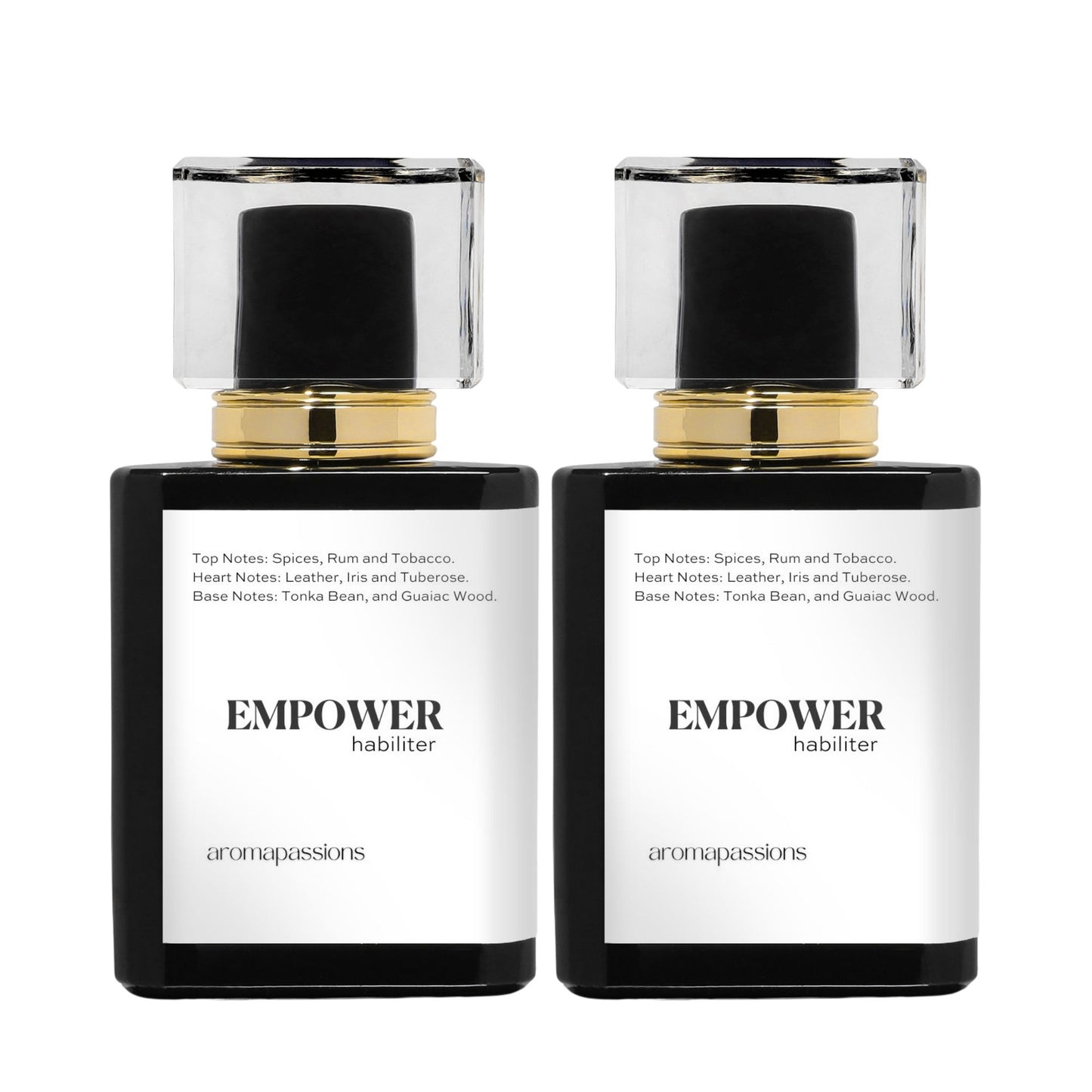 EMPOWER | Inspired by BVLGARI MAN IN BLACK | Man in Black Dupe Pheromone Perfume