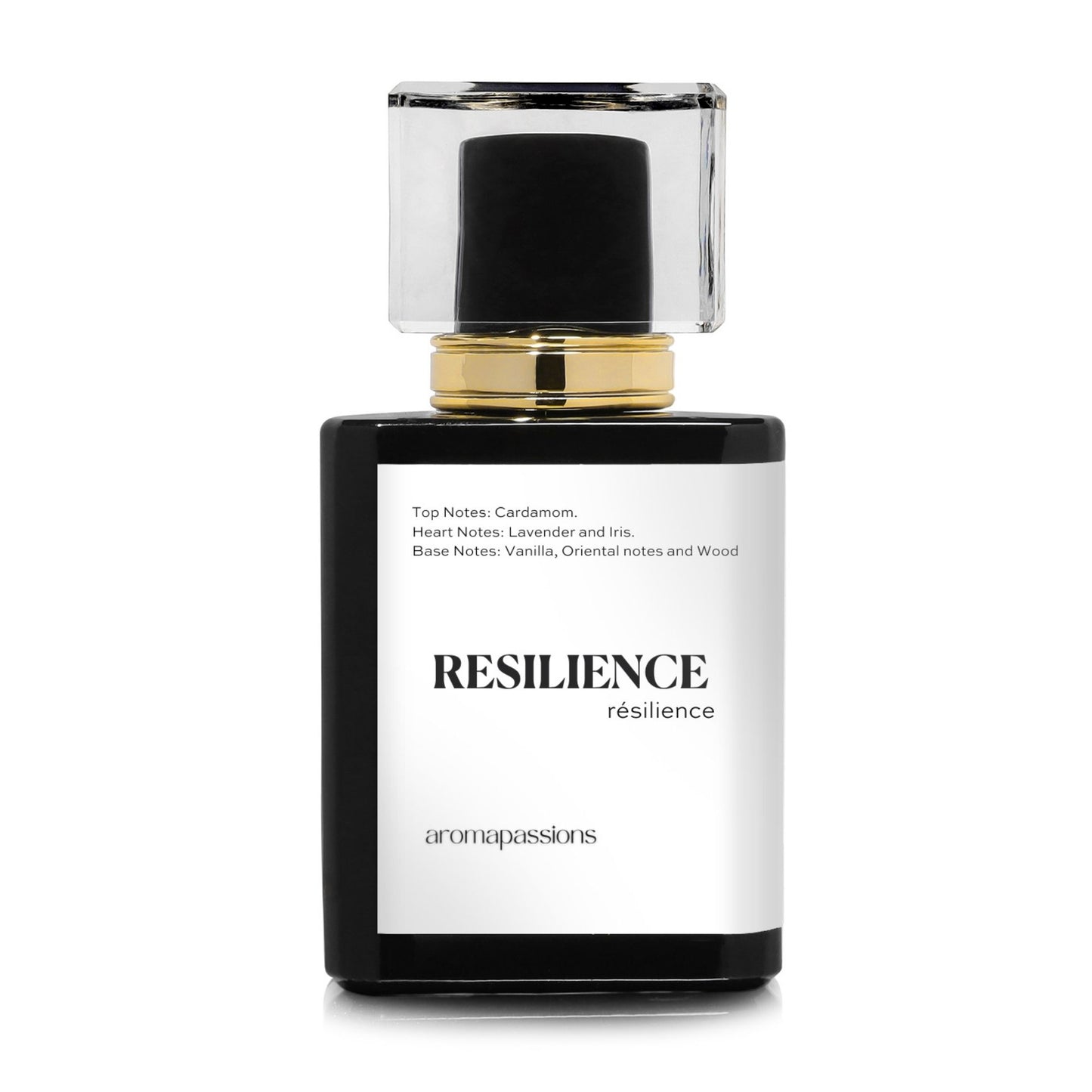 RESILIENCE | Inspired by JEAN PAUL GAULTIER LE MALE | Le Male Dupe Pheromone Perfume