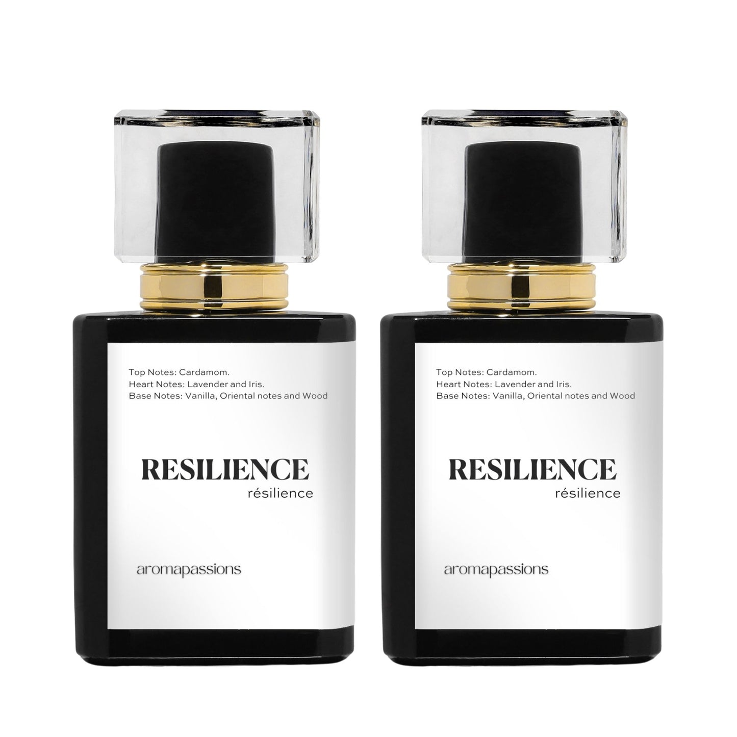 RESILIENCE | Inspired by JEAN PAUL GAULTIER LE MALE | Le Male Dupe Pheromone Perfume