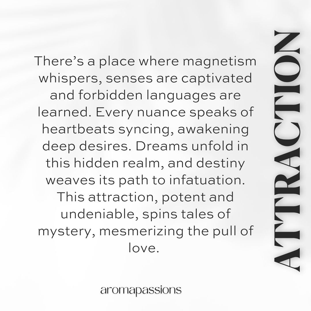 ATTRACTION | Inspired by JEAN PAUL GAULTIER LE BEAU | Le Beau Dupe Pheromone Perfume