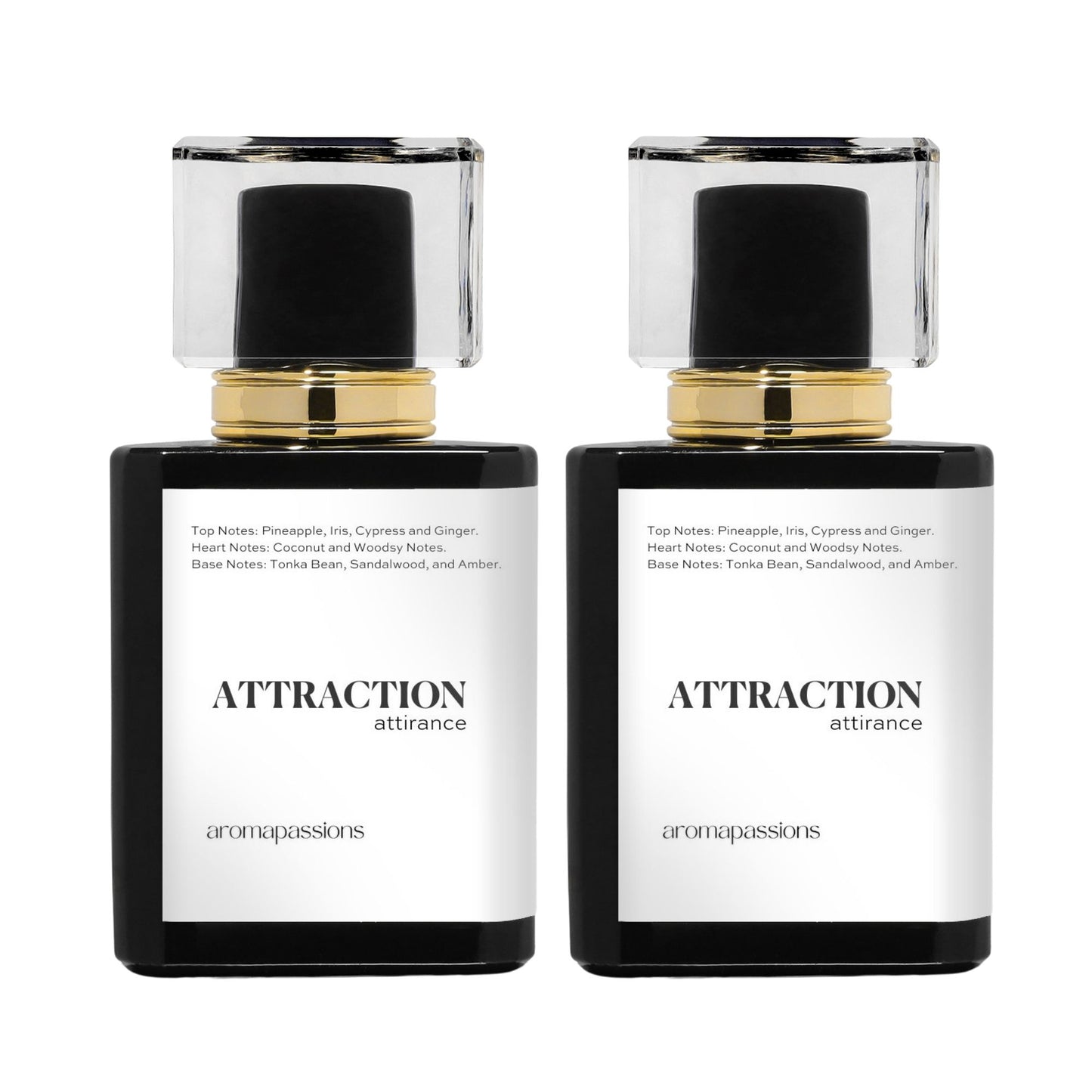 ATTRACTION | Inspired by JEAN PAUL GAULTIER LE BEAU | Le Beau Dupe Pheromone Perfume