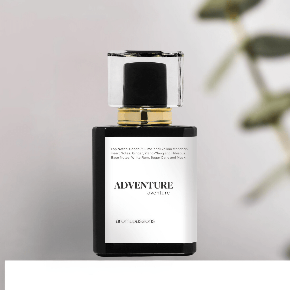 Inspired by Creed VIRGIN ISLAND WATER ADVENTURE | Inspired by CREED VIRGIN ISLAND WATER | Virgin Island Dupe Pheromone Perfume