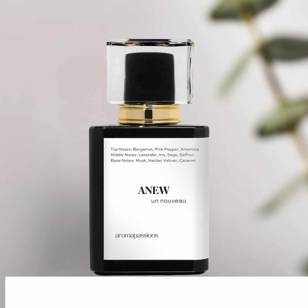 Inspired by PRADA Luna Rossa Ocean ANEW | Inspired by PRADA LUNA ROSSA OCEAN | Luna Rossa Ocean Dupe Pheromone Perfume
