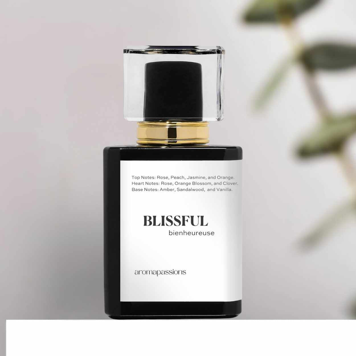 BLISSFUL | Inspired by CHANEL COCO | Coco Dupe Pheromone Perfume - aromapassions