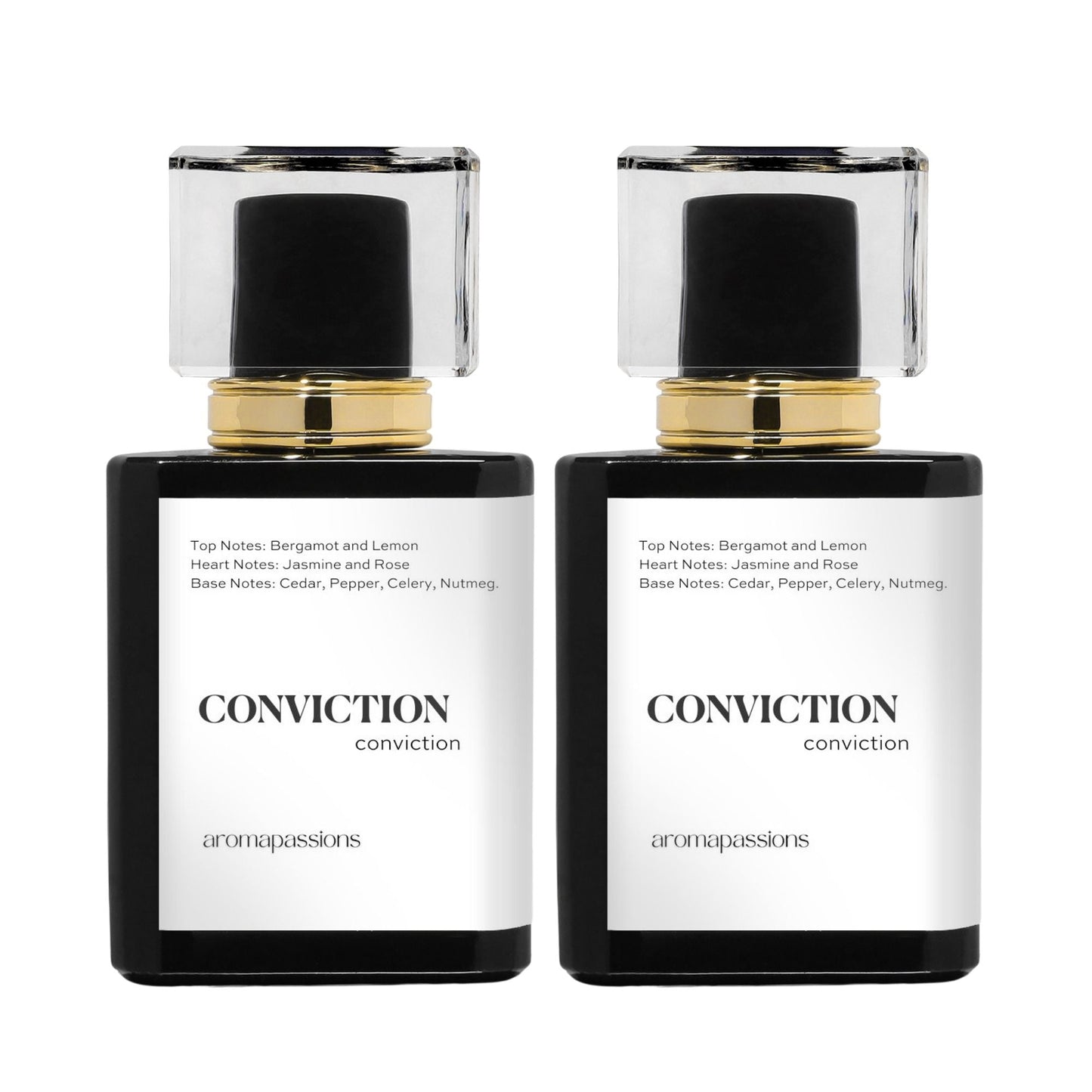 CONVICTION | Inspired by ROJA VETIVER | Vetiver Dupe Pheromone Perfume - aromapassions