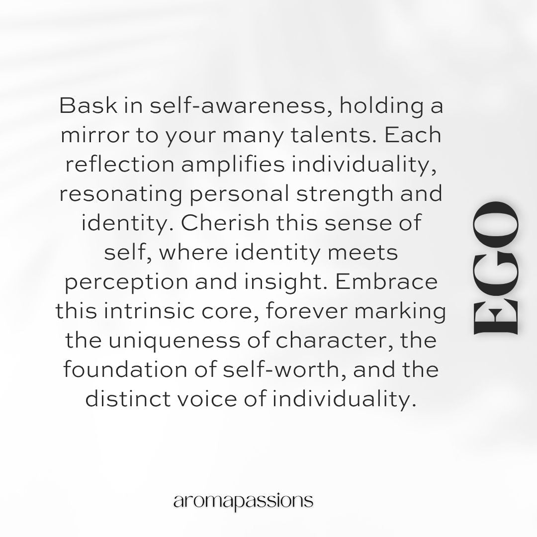 EGO | Inspired by HUGO BOSS BOSS IN MOTION | Boss In Motion Dupe Pheromone Perfume - aromapassions