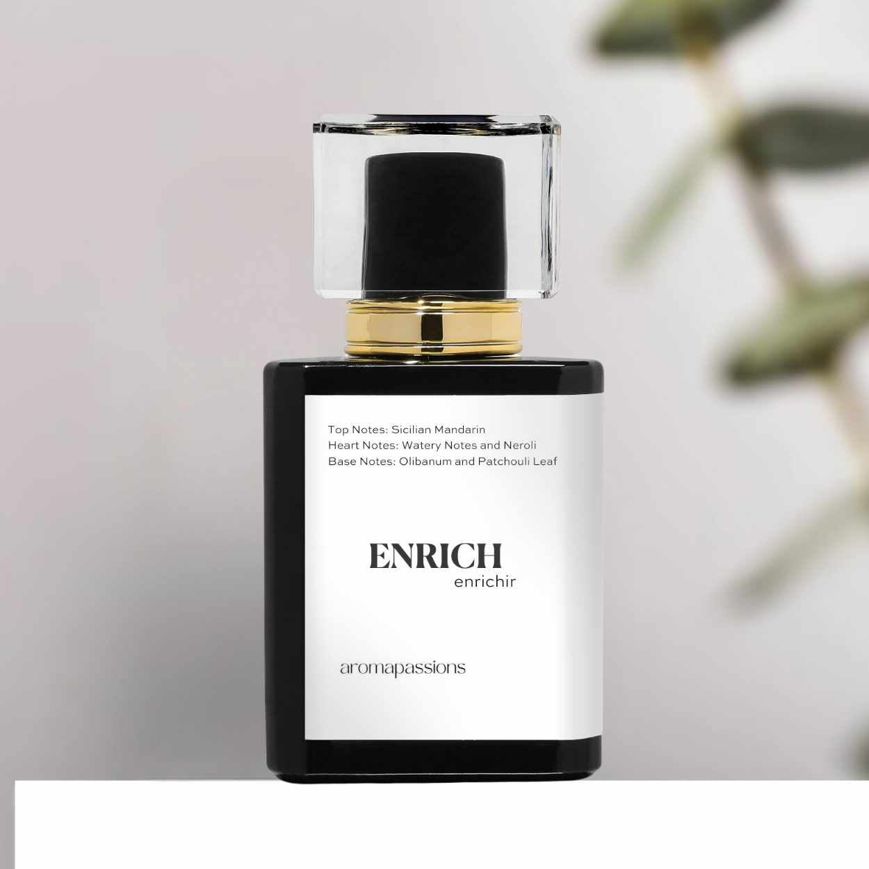 ENRICH | Inspired by BVLGARI AQVA AMARA | Aqva Amara Dupe Pheromone Perfume - aromapassions