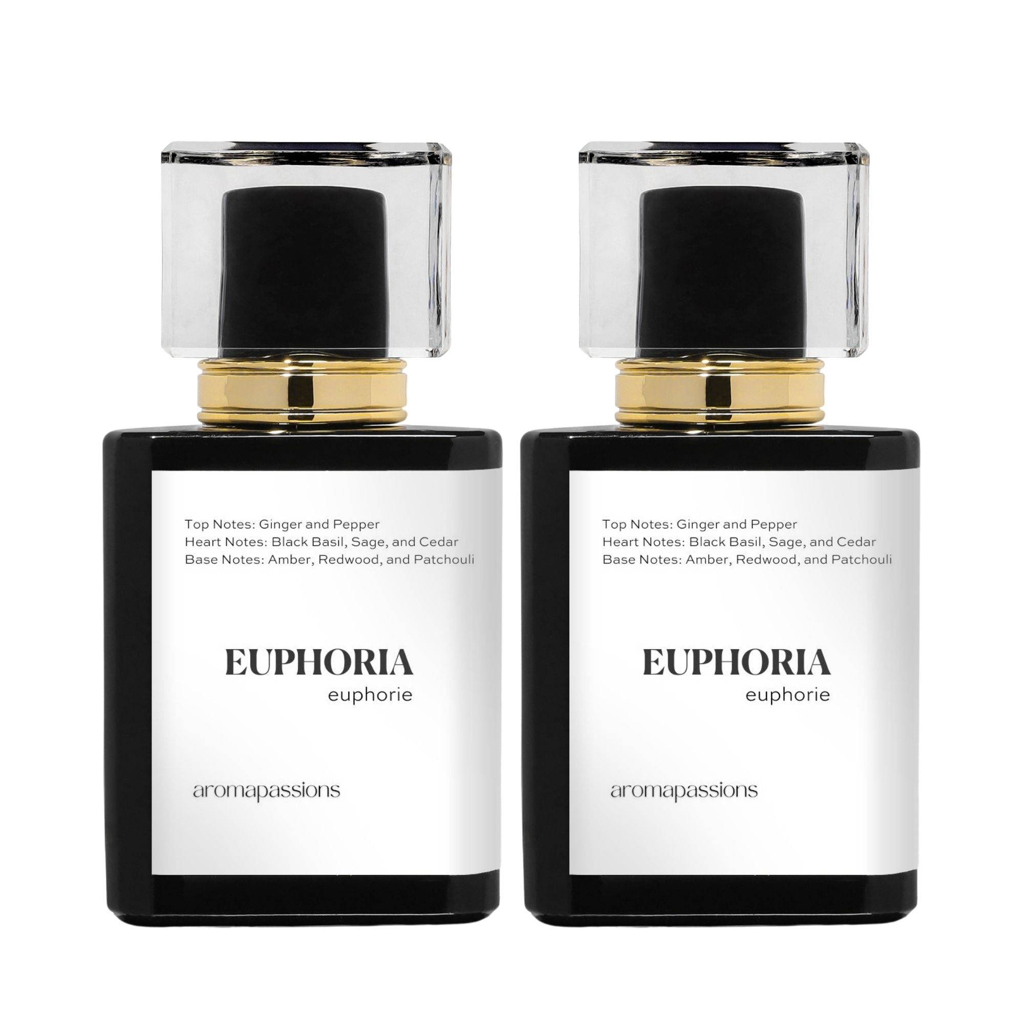 EUPHORIA | Inspired by CALVIN KLEIN EUPHORIA | Euphoria Dupe