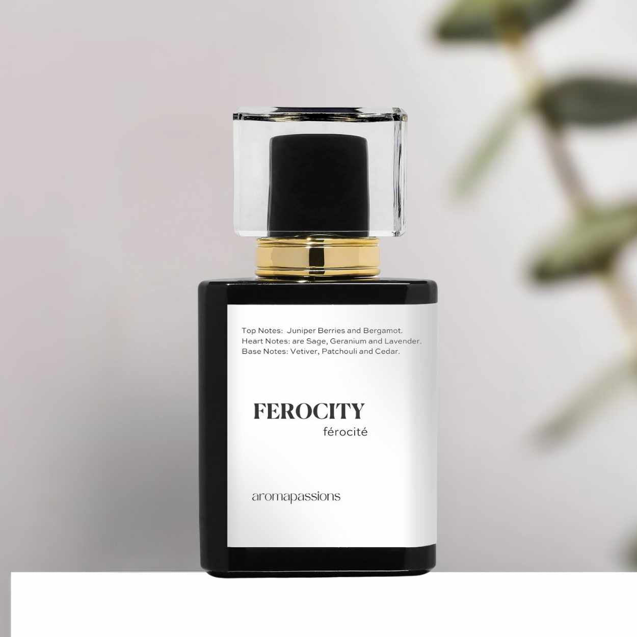 FEROCITY | Inspired by YSL Y INTENSE EDP | Y Intense EDP Dupe Pheromone Perfume - aromapassions