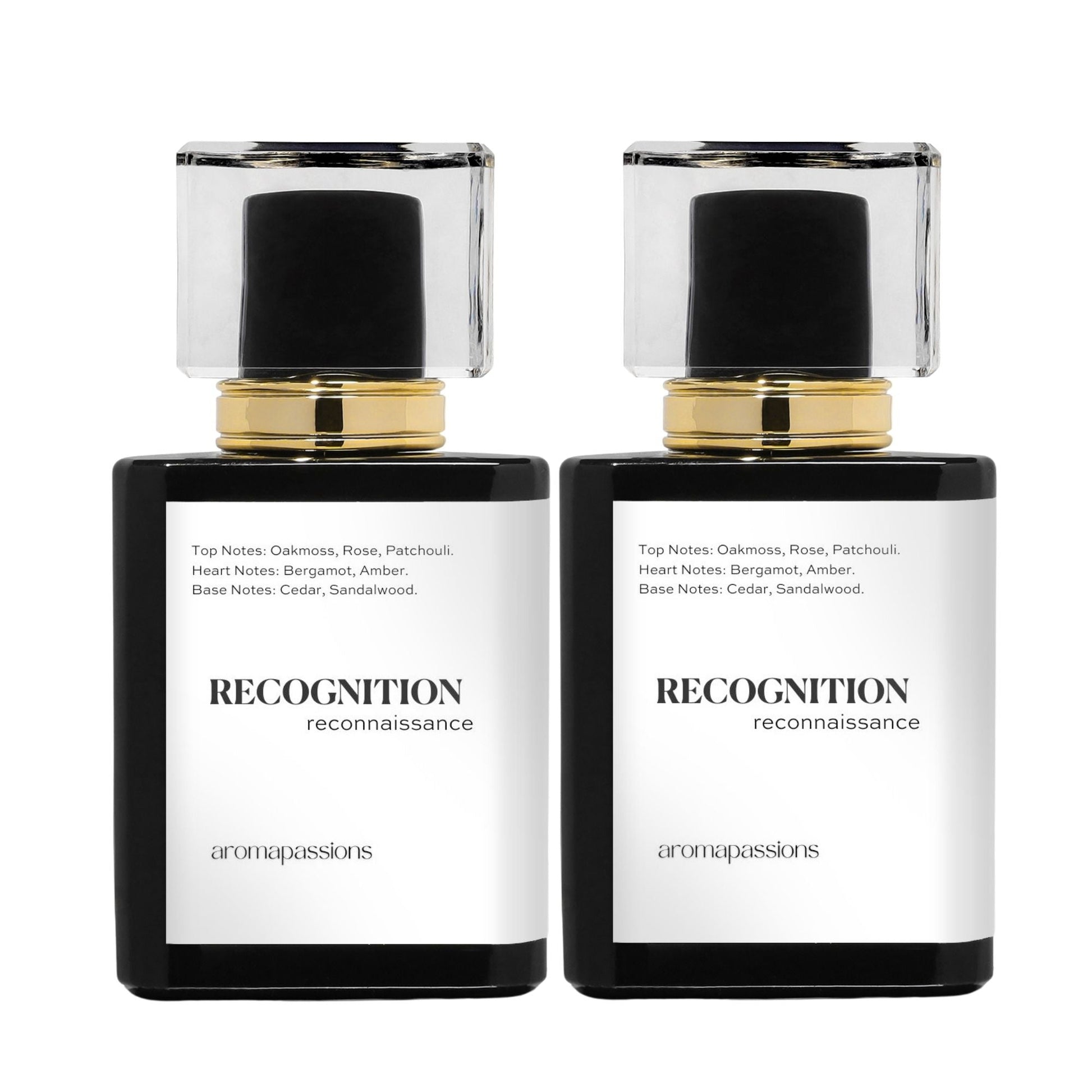 RECOGNITION | Inspired by DIOR GRIS | Gris Dupe Pheromone Perfume - aromapassions