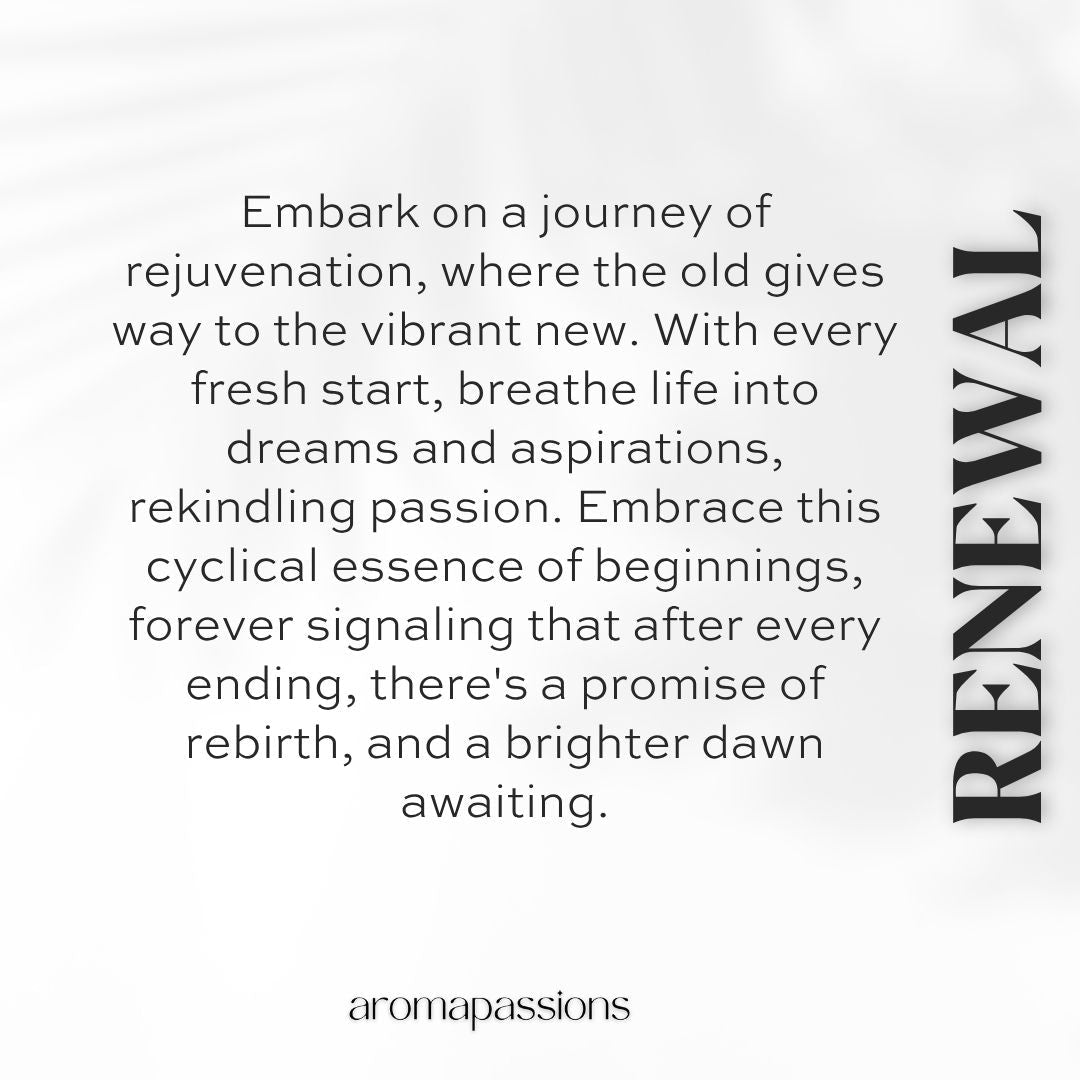 RENEWAL | Inspired by CAROLINA HERRERA 212 MEN | 212 Men Dupe Pheromone Perfume - aromapassions