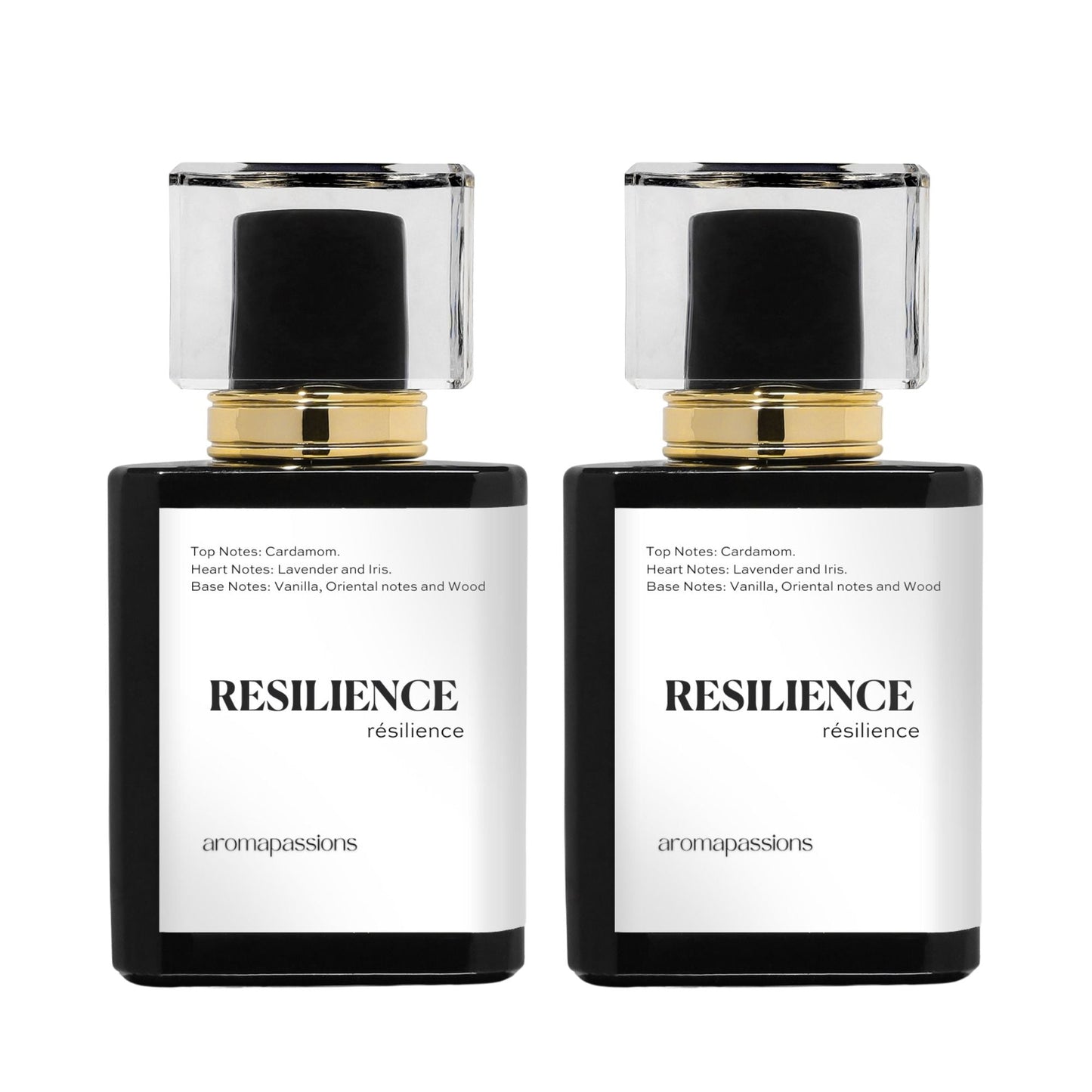 RESILIENCE | Inspired by JEAN PAUL GAULTIER LE MALE | Le Male Dupe Pheromone Perfume - aromapassions