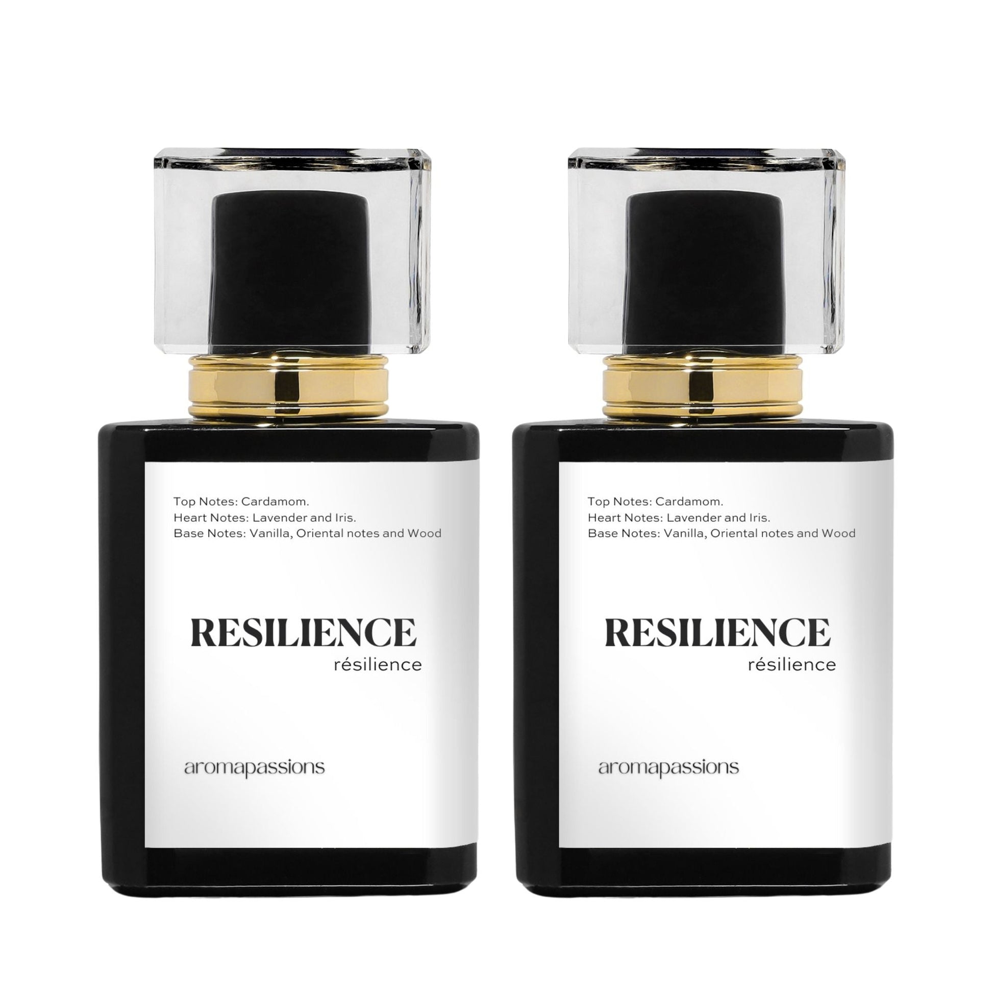 RESILIENCE | Inspired by JEAN PAUL GAULTIER LE MALE | Le Male Dupe Pheromone Perfume - aromapassions