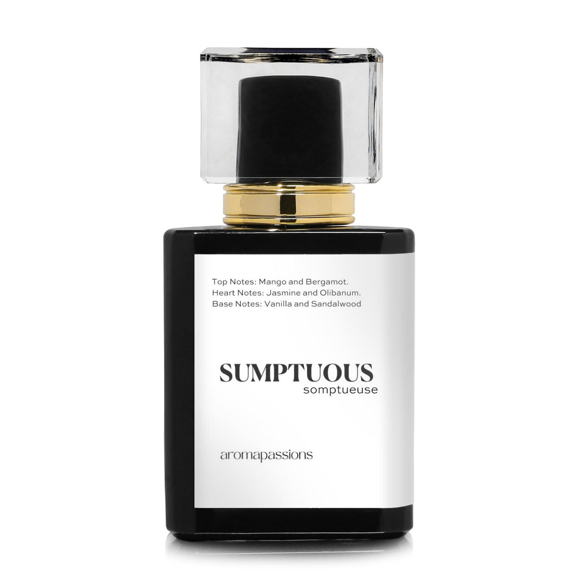 SUMPTUOUS | Inspired by PACO RABANNE FAME | Fame Dupe Pheromone Perfume - aromapassions