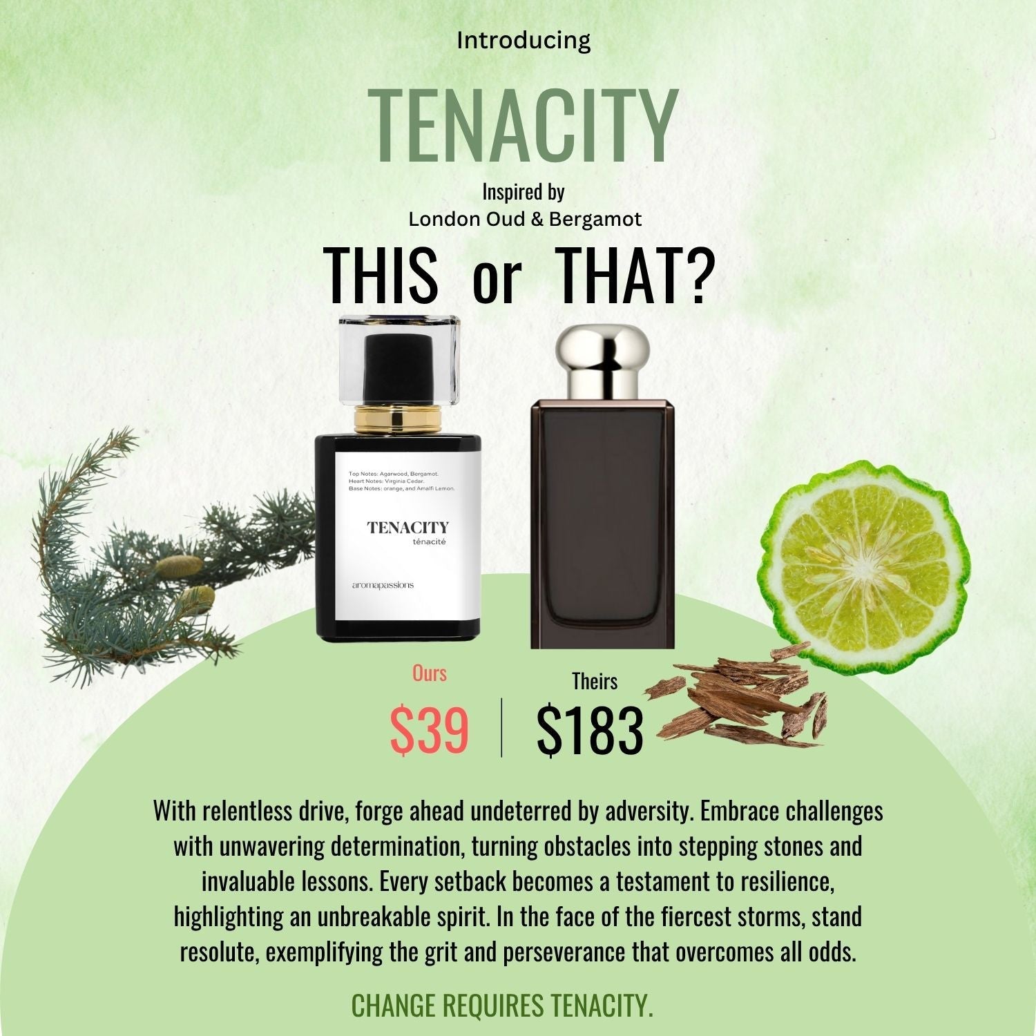 TENACITY | Inspired by JO MALONE LONDON OUD & BERGAMOT | London Oud & Bergamot Dupe Pheromone Perfume - aromapassions